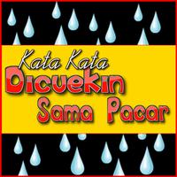 kata kata dicuekin sama pacar Plakat
