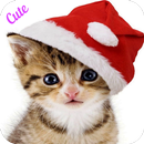 Cute Cat Wallpaper HD APK