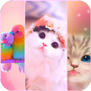 Cute Girly Wallpapers APK