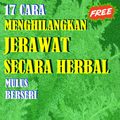 Cara Menghilangkan jerawat Alami Buat wanita pria
