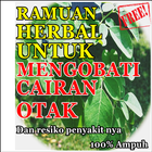 Herbal Alami Cairan Otak Beres icon