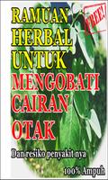 Herbal Alami Cairan Otak Beres screenshot 2