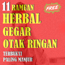 Obat Gegar Otak Ringan Terbukti Paling Manjur APK