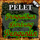 Mantra Pengasihan Kembang Peng APK