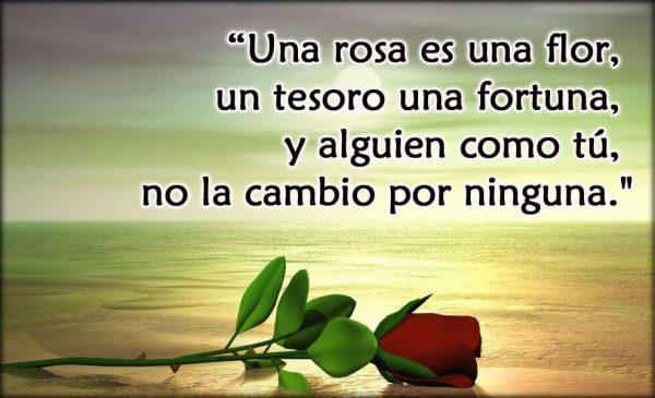 Imagenes De Amor Para Mi Novia Con Frases Hermosas Para Android