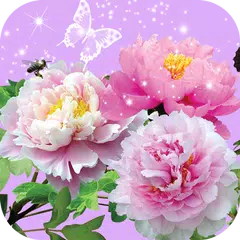 Скачать Pictures of Flowers App XAPK