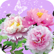 Images de Fleurs App