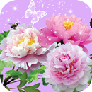 Pictures of Flowers App APK