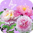 Pictures of Flowers App أيقونة