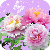 Images de Fleurs App icône