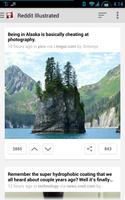 Illustrated for Reddit โปสเตอร์