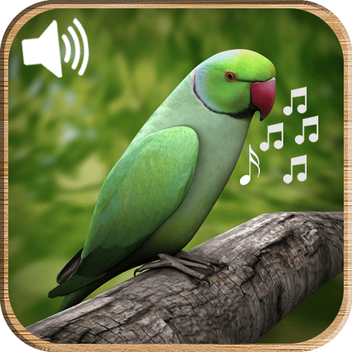 TalkativeTreetops