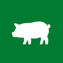 Hampshire Hogs APK