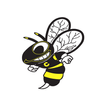 Cadott School District icon