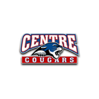 Icona Centre Cougars USD 397, KS