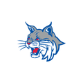 Beecher City CUSD #20, IL