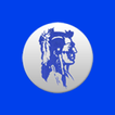 Fairview Warriors icon