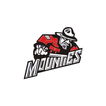 MGS 145 icon