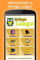Poster Gringo Lingo