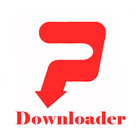 Pinterest Video Downloader-icoon
