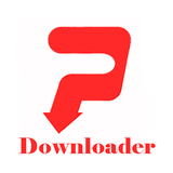 Pinterest Video Downloader ícone