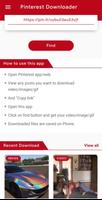 Pinterest Video Downloader Ekran Görüntüsü 2