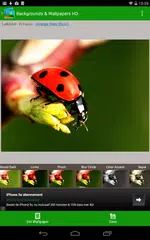 Beautiful Backgrounds APK 下載