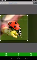 Beautiful Backgrounds APK 下載