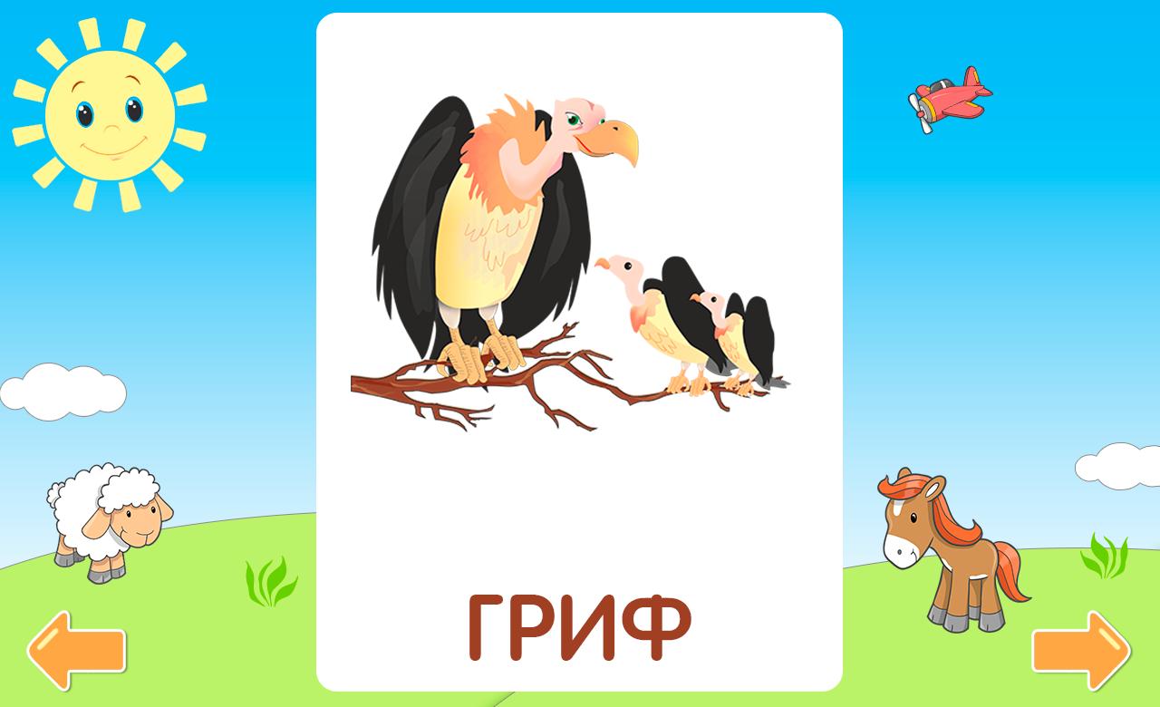 Умачка алфавит. Домашние животные и птицы Умачка. Умачка зоопарк 3 этап. Умачка интерьер карточки.