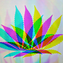 Neon Weed Live Wallpaper APK