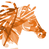 آیکون‌ EKISM - Centres Equestres