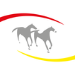 Equisfair