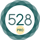 528 Player Pro icon