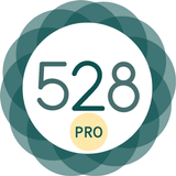 528 Player Pro APK