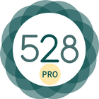 528 Player Pro icon