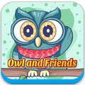 Owl Rescue