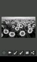 Image Decolorizer 스크린샷 1