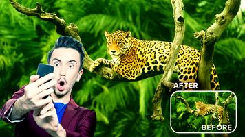 Wild Animal Photo Editor screenshot 2