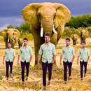 Echo Animal Effect : best echo APK