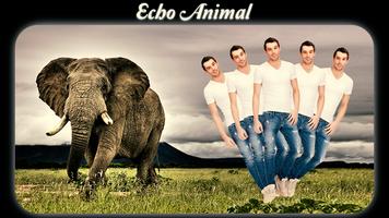 Echo Animal Affiche