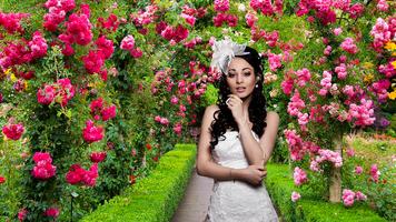 Garden Photo Frame Editor 2025 poster