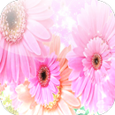 Fondo de Flores Animado para Celular APK