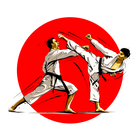 Karate Eğitimi simgesi