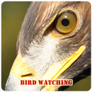 APK Bird Watching