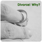 Divorce Why? 圖標