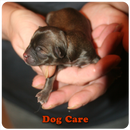 Dog Care APK