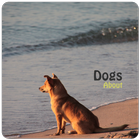 Dogs About-icoon