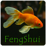 Feng Shui