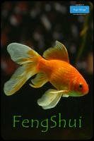 Feng Shui poster