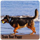 APK Train Your Puppy